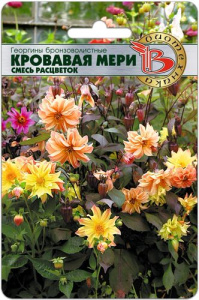 Георгины бронзоволистные Кровавая Мери (смесь) купить