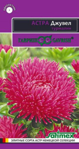 Астра игольчато-коготковая Джувел Турмалин  купить