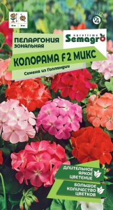 Пеларгония Зональная Колорама F2 микс  купить