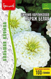 Цинния Кураж Белая карликовая купить