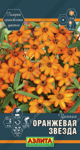 Цинния Оранжевая звезда  купить