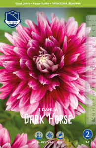 Георгина гигантская Dark Horse /1шт купить