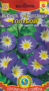 Вьюнок Трехцветный Голубой  купить