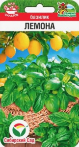 Базилик Лемона купить