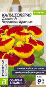 Кальцеолярия Дэинти Черевички красные  купить