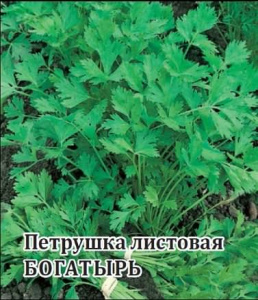 Петрушка Богатырь 50г купить