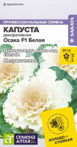 Капуста декоративная Осака белая купить