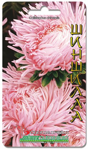 Астра Дракон Шиншилла 70 шт купить