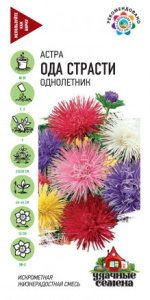 Астра Ода страсти, игольчатая смесь Уд. с. купить