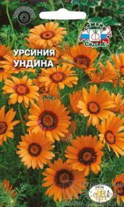 Урсиния Ундина  купить