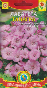 Лаватера Танагра  купить