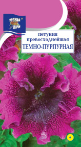 Петуния Тёмно-пурпурная  купить