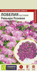  Лобелия Ривьера розовая кустовая  купить