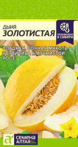Дыня Золотистая купить