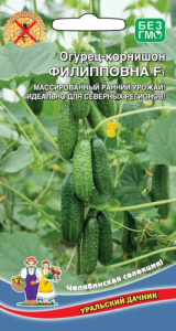 Огурец Филипповна F1 купить