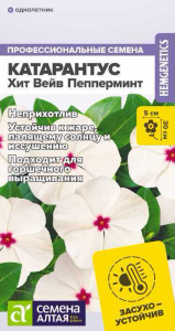 Катарантус Хит Вейв Пепперминт