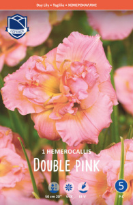 Лилейник Double Pink /1шт купить
