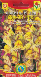 Львиный зев Торбей рок  купить