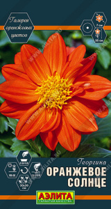 Георгина Оранжевое солнце купить