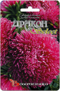 Астра Дракон селект Кармин  купить