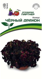 Колеус Чёрный Дракон шлемниковидный купить