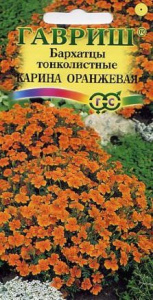 Бархатцы Карина оранжевая  купить