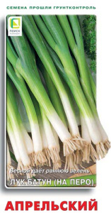 Лук Апрельский, батун купить