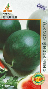 Арбуз Огонек  купить