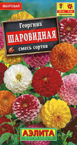 Георгина Шаровидная, смесь  купить