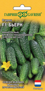 Огурец Бьерн F1 (Голландия)  купить