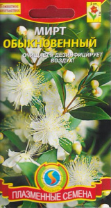 Мирт обыкновенный  купить