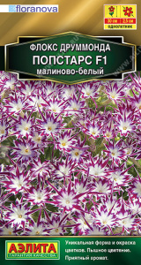 Флокс Попстарс F1 малиново-белый купить
