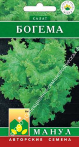 Салат Богема купить
