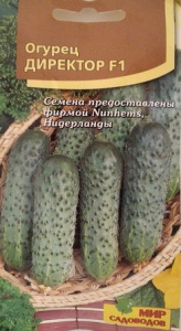 Огурец Директор F1  5шт купить
