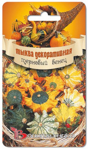 Тыква декоративная Терновый венец 8шт купить