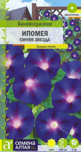 Ипомея Синяя Звезда  купить