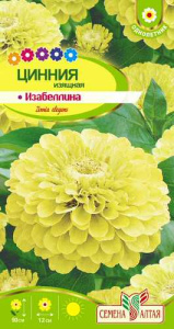 Цинния Изабеллина изящная  купить