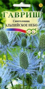 Синеголовник Альпийское Небо  купить