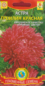 Астра гремлин Красная купить