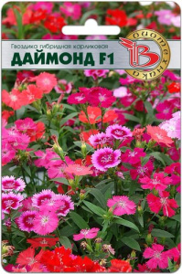 Гвоздика гибридная карликовая Даймонд F1 купить