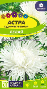 Астра Художественная Белая купить