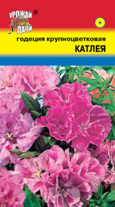 Годеция Катлея крупноцветковая  купить