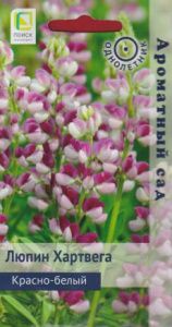 Люпин Хартвега Красно-белый купить