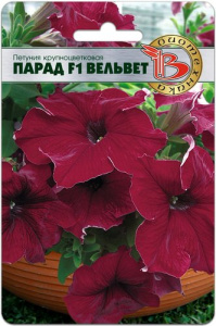 Петуния Парад Вельвет F1  крупноцветковая купить