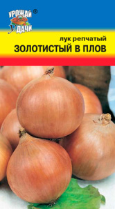 Лук (репчатый) Золотистый в плов  купить