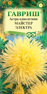 Астра Майстер Электра (игольчатая желтая) купить