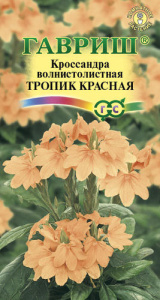 Кроссандра Тропик Красная  купить