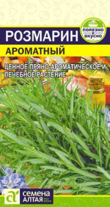 Розмарин Ароматный  купить