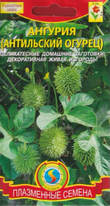 Ангурия (антильский огурец), 8 шт      купить