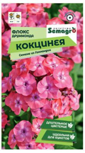 Флокс Друммонда Кокцинея  купить